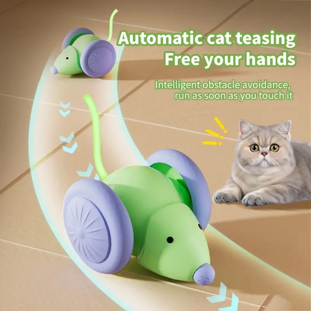 electric mouse cat toy