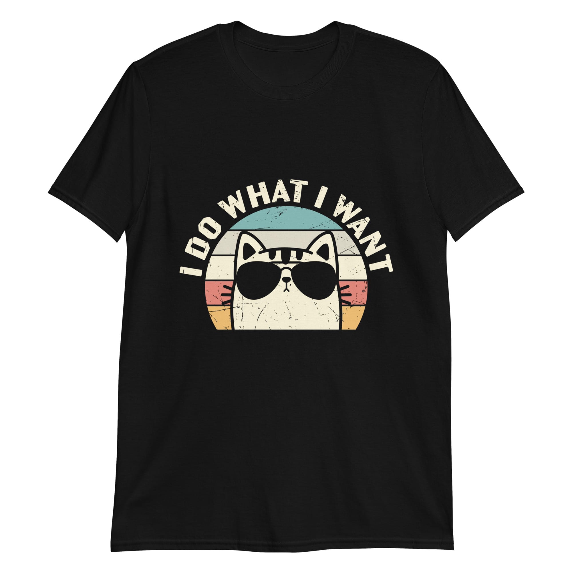unisex-basic-softstyle-t-shirt-black-front-69c6d6cecfacd.jpg i do what i want cat shirt