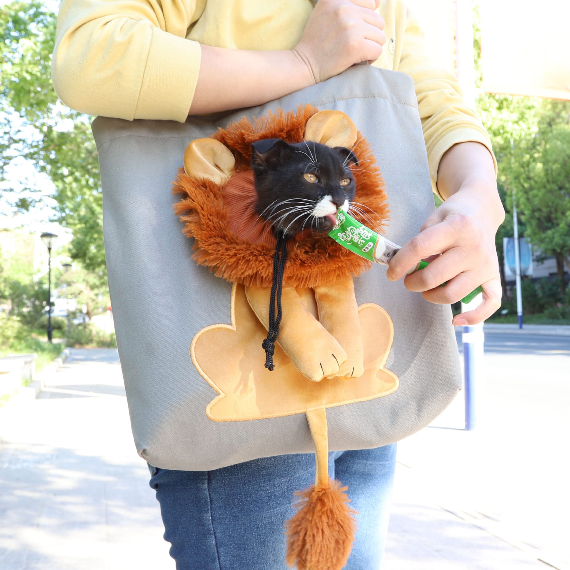 Lion cat carrier bag
